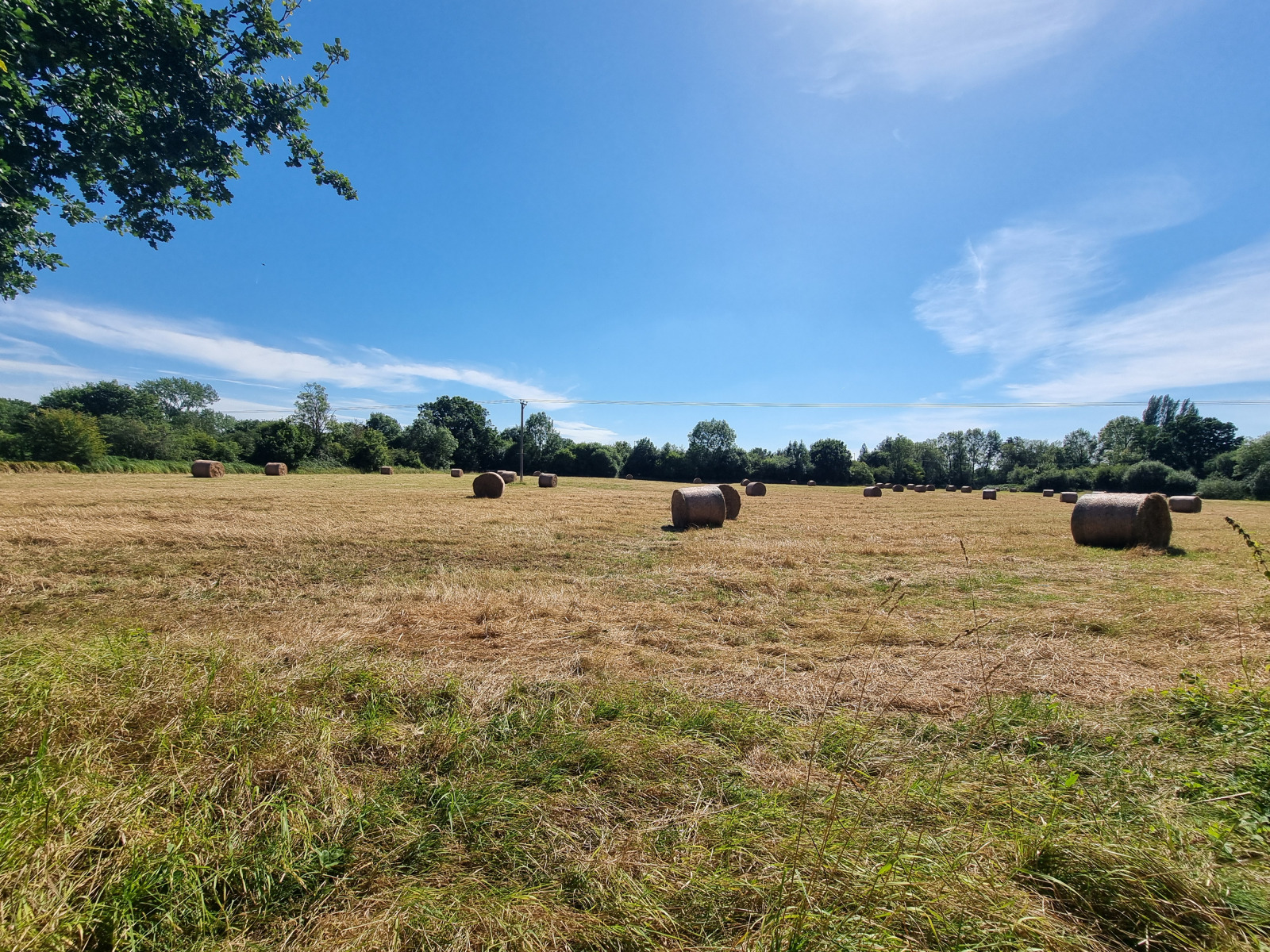 Charvil Meadows – Charvil Parish Council