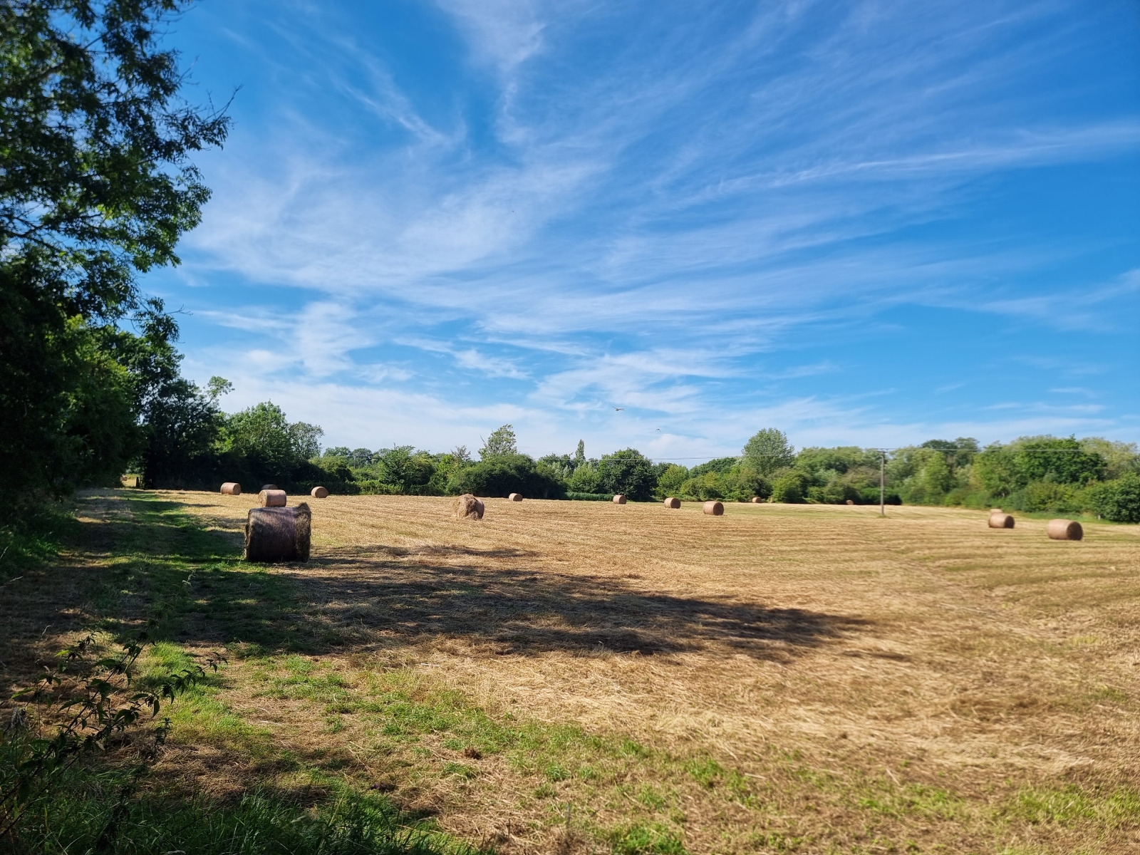 Charvil Meadows – Charvil Parish Council