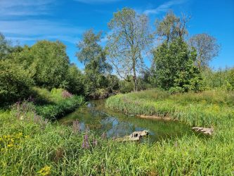 Fish-Hatchery-of-River-Loddon-in-Charvil-Meadows