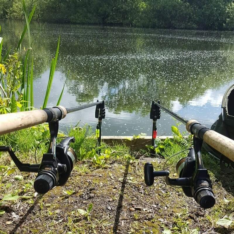 Fishing rods on the edge of a lake in Charvil Country park